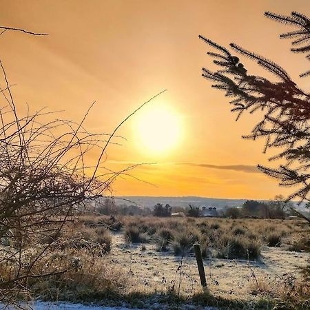 Forest View Cabin Ballaghaderreen Buitenkant foto