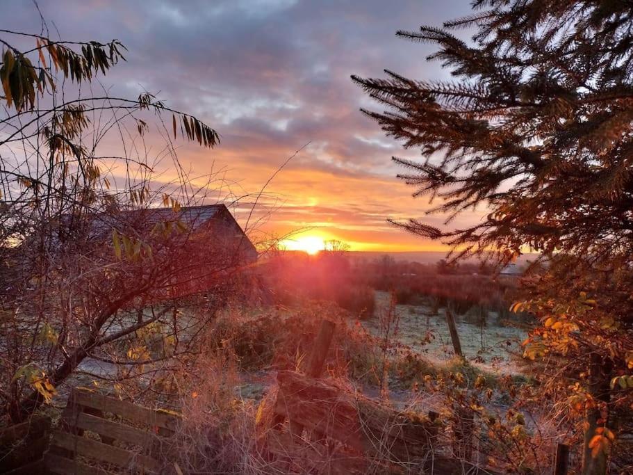 Forest View Cabin Ballaghaderreen Buitenkant foto