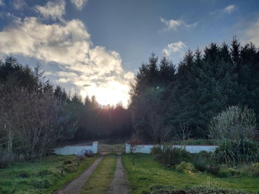 Forest View Cabin Ballaghaderreen Buitenkant foto