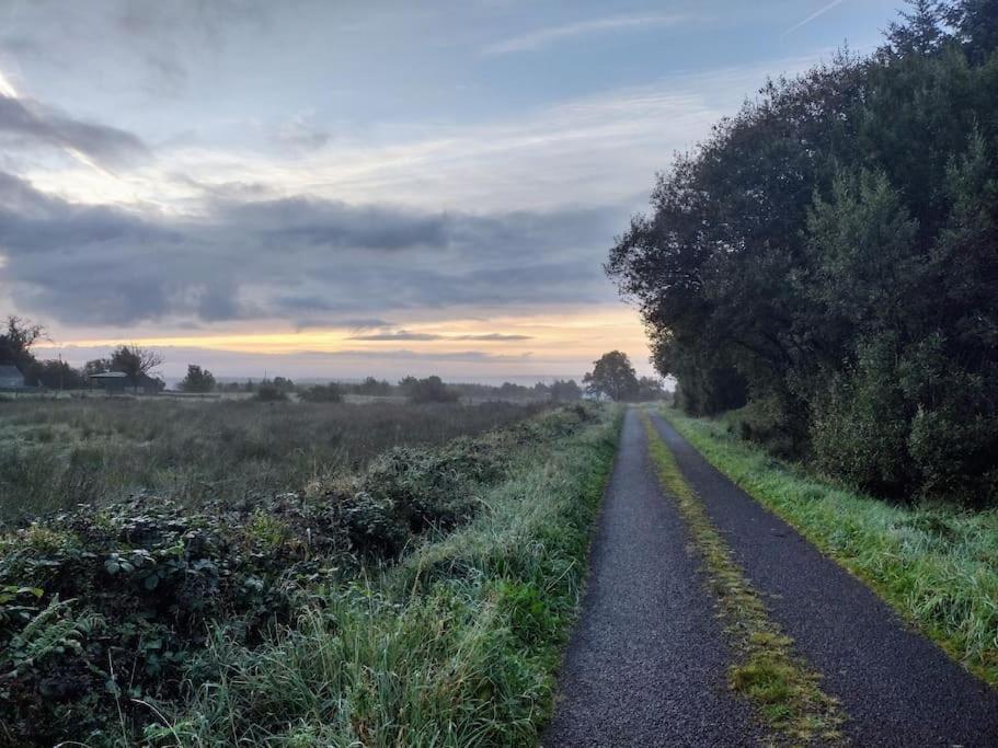 Forest View Cabin Ballaghaderreen Buitenkant foto