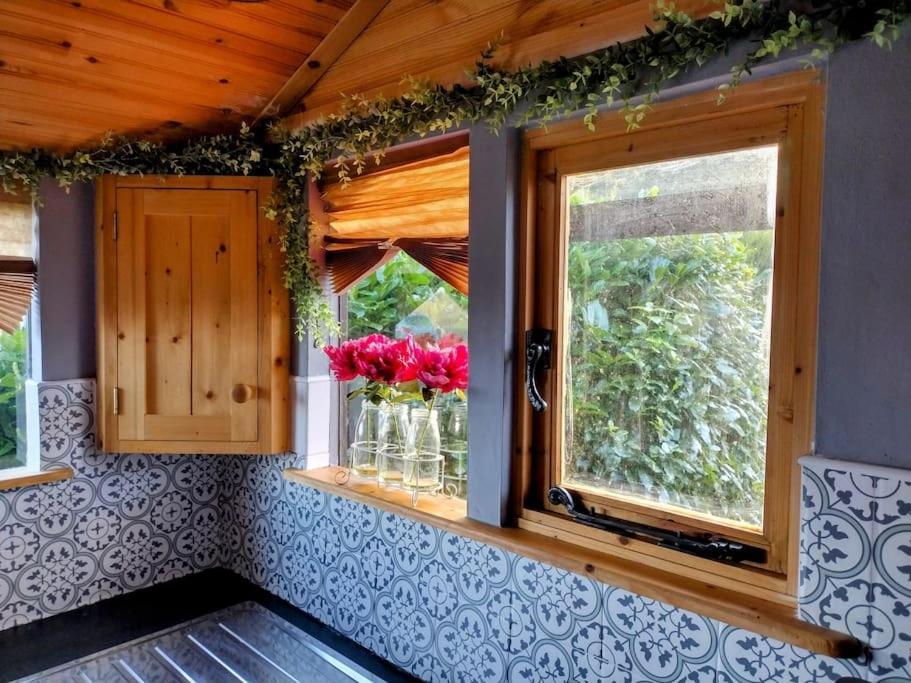 Forest View Cabin Ballaghaderreen Buitenkant foto